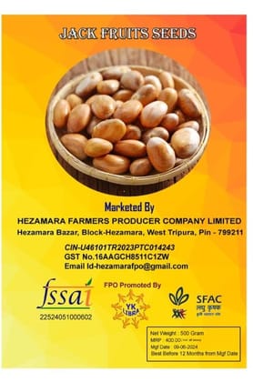 Jackfruit seed/ kathal seed Jackfruit seed/ kathal seed