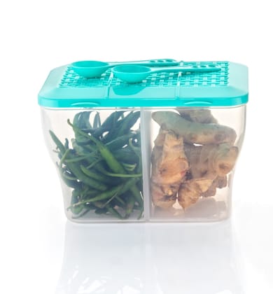 HAPPI Multipurpose Plastic 2 in 1 Masala Box for Kitchen , Spice Boxes for Kitchen , Transparent 2 Compartment Storage Containers Airtight Grocery, Dry Fruits Box 2000 Ml with 2 Spoons(Green) HAPPI Multipurpose Plastic 2 in 1 Masala Box for Kitchen , Spice Boxes for Kitchen , Transparent 2 Compartment Storage Containers Airtight Grocery, Dry Fruits Box 2000 Ml with 2 Spoons(Green)