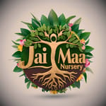 JAI MAA NURSERY