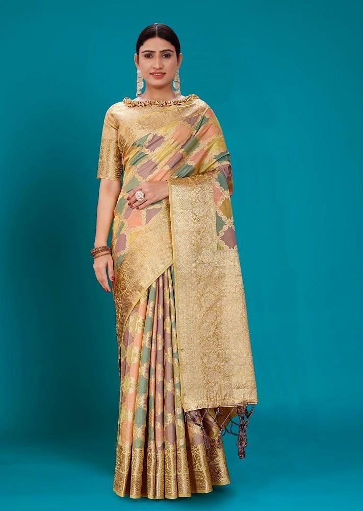 Woven Organza Saree in Golden and Multicolor