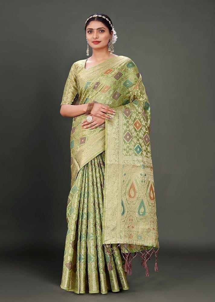 Woven Organza Saree in Light Green