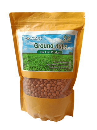 GROUND NUT GROUND NUT