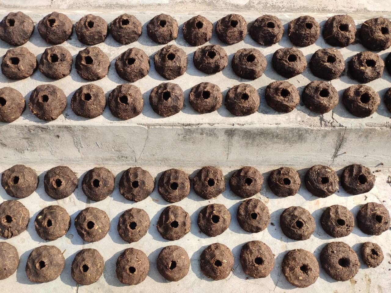 GOKULAM Cow Dung Gulariyan Mala for Holika Dahan/badkulla/badkula/badkulaya(????????) for Holi(21 Pieces in One Mala)