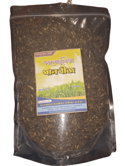 Kalonunia Seed