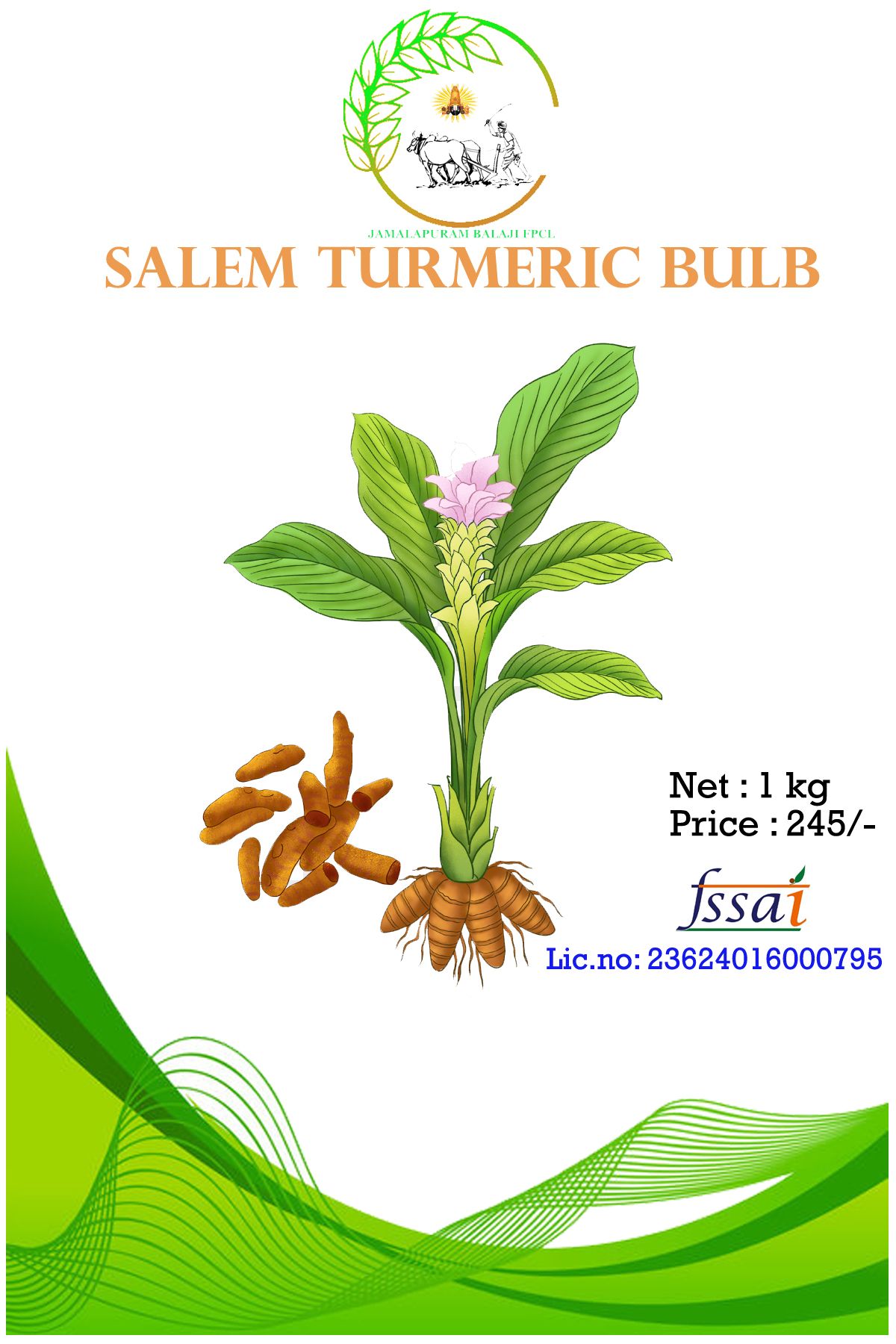 Salem Turmeric Gatta, (BULB)