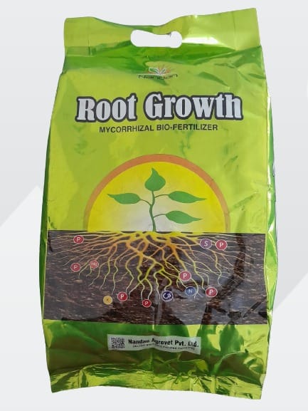 Root Growth