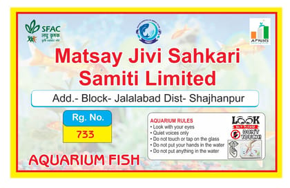 Goldfish (Coloured Aquarium Freshwater Fish)