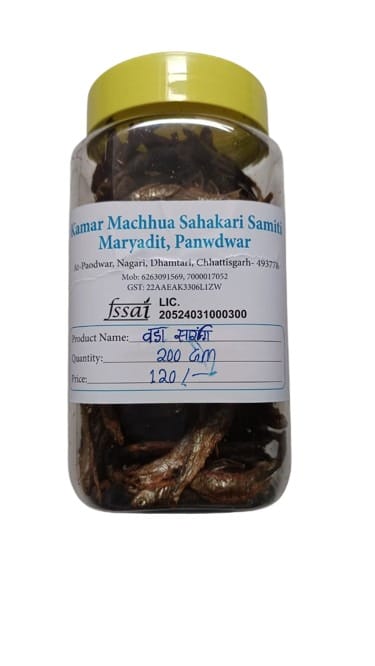 Big Fiddler Fish (Bada Sarangi)
