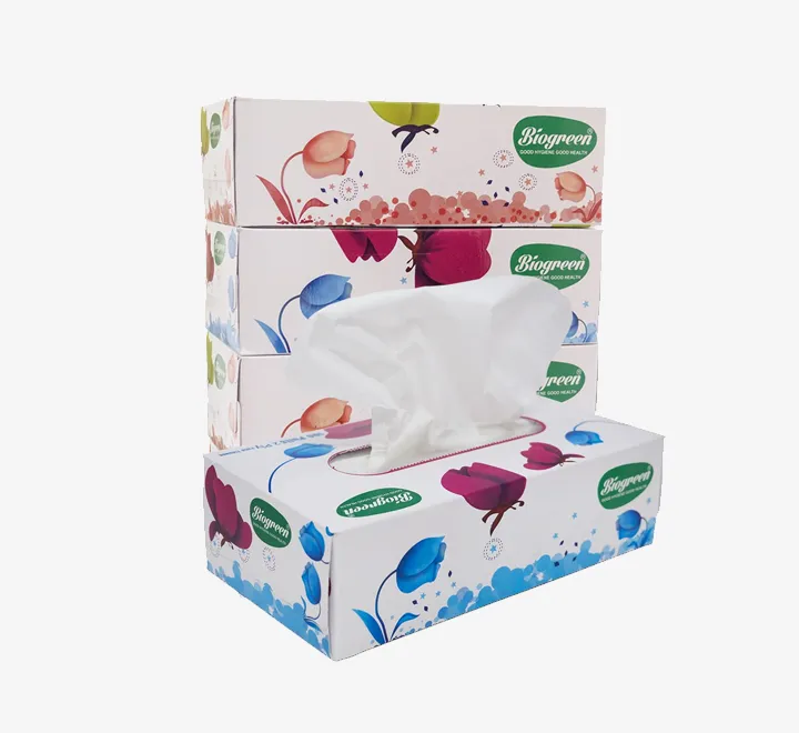 Toilet Rolls 100 Grams - Case Pack 80 Rolls