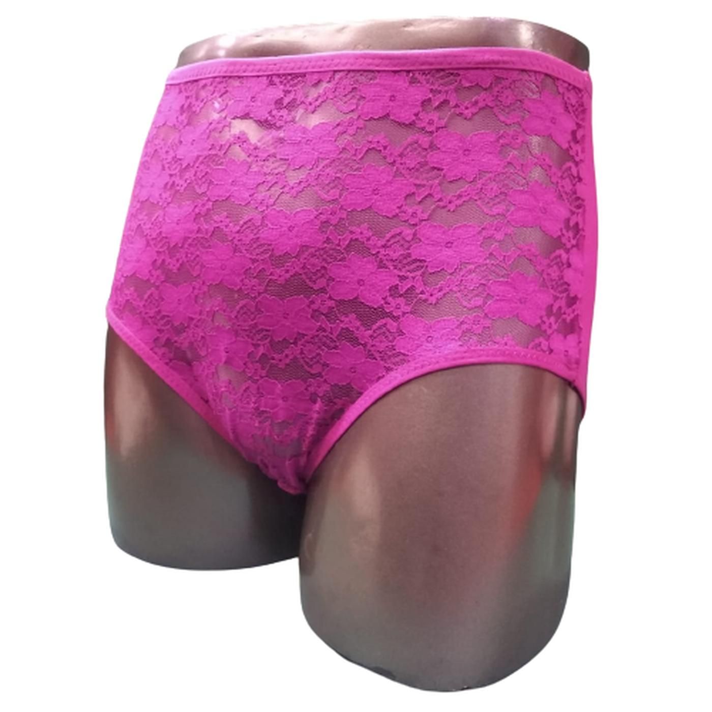 P1379 FULL NET MODAL LACE PANTY