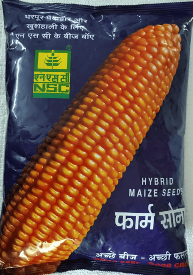 NSC Hyb.Maize, Bio 9544, 4kg