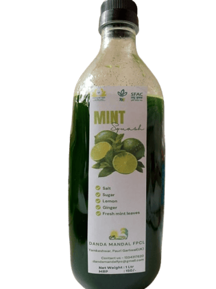 Mint Squash
