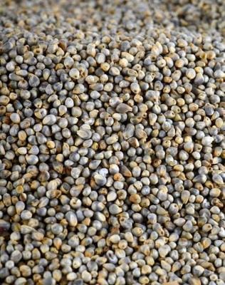 BAJRA - 1KG