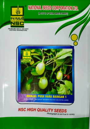NSC Brinjal Seed, Variety: Pusa Hara Baigan-1, 25 gm