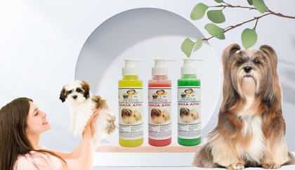 SWACCH Premium Shampoo for Lhasa APSO (200ML) (Combo Pack of 3) Lemon, Jasmine & NEEM ALOVERA SWACCH Premium Shampoo for Lhasa APSO (200ML) (Combo Pack of 3) Lemon, Jasmine & NEEM ALOVERA