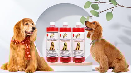 SWACCH Shampoo Specially FORMULATED for Cocker Spaniel (1 Litre) (Pack of 3) Strawberry SWACCH Shampoo Specially FORMULATED for Cocker Spaniel (1 Litre) (Pack of 3) Strawberry