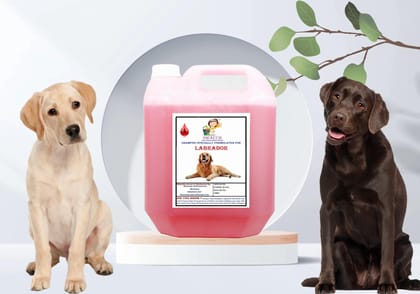 SWACCH Shampoo Specially FORMULATED for Labrador (10 Litre) Jasmine SWACCH Shampoo Specially FORMULATED for Labrador (10 Litre) Jasmine