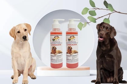 SWACCH Premium Shampoo for Labrador (200ML) (Pack of 2) Strawberry