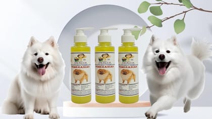 SWACCH Premium Shampoo for Pomeranian (200ML) (Pack of 3) Lemon SWACCH Premium Shampoo for Pomeranian (200ML) (Pack of 3) Lemon