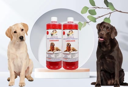 Swacch Shampoo Specially Formulated for Labrador (1 Litre) (Pack of 2) Strawberry Swacch Shampoo Specially Formulated for Labrador (1 Litre) (Pack of 2) Strawberry