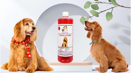 Swacch Shampoo Specially Formulated for Cocker Spaniel (1 Litre) Jasmine Swacch Shampoo Specially Formulated for Cocker Spaniel (1 Litre) Jasmine