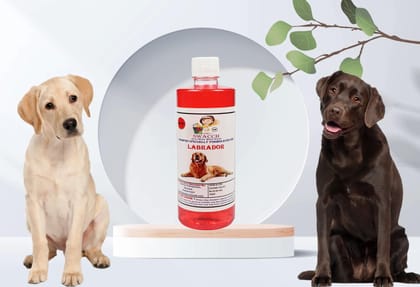 SWACCH Shampoo Specially FORMULATED for Labrador (500ML) Strawberry