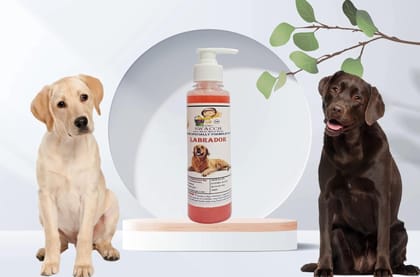 SWACCH Premium Shampoo for Labrador (200ML) Strawberry SWACCH Premium Shampoo for Labrador (200ML) Strawberry