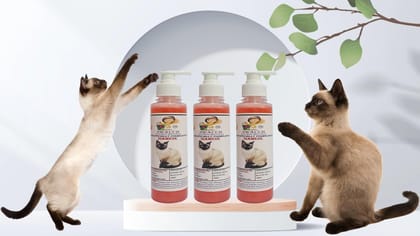 SWACCH Premium Shampoo for Siamese CAT (200ML) (Pack of 3) Jasmine SWACCH Premium Shampoo for Siamese CAT (200ML) (Pack of 3) Jasmine