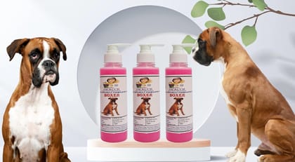SWACCH Premium Shampoo for Boxer (200ML) (Pack of 3) Rose