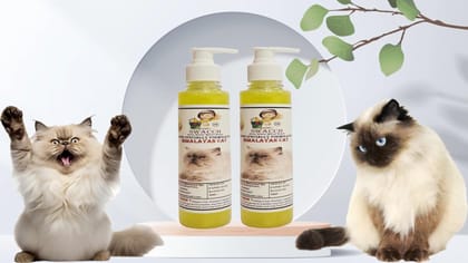 SWACCH Premium Shampoo for Himalayan CAT (200ML) (Pack of 2) Lemon