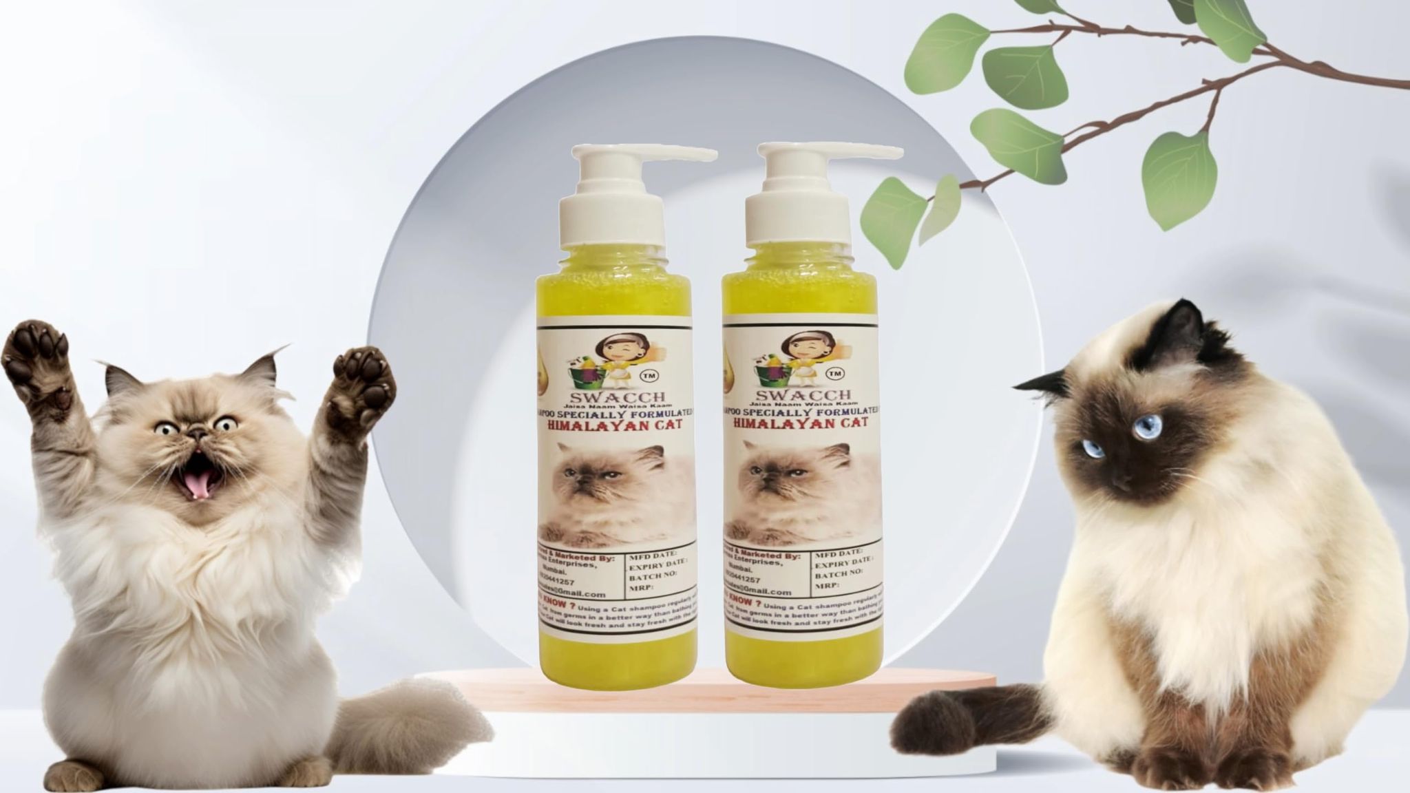 SWACCH Premium Shampoo for Himalayan CAT (200ML) (Pack of 2) Lemon