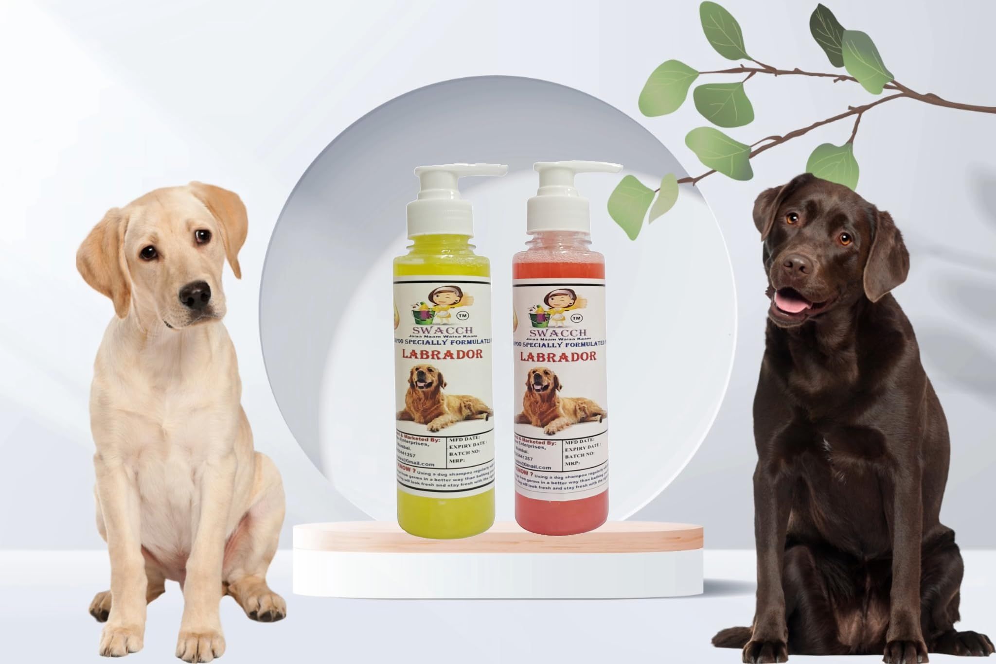 SWACCH Premium Shampoo for Labrador (200ML) (Combo Pack of 2) Lemon & Jasmine