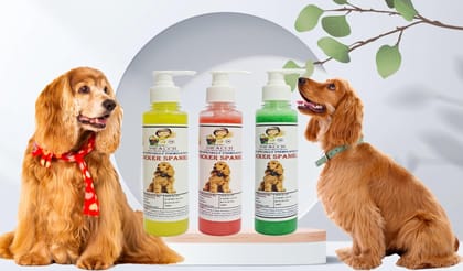 SWACCH Premium Shampoo for Cocker Spaniel (200ML) (Combo Pack of 3) Lemon, Jasmine & NEEM ALOVERA