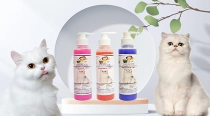 SWACCH Premium Shampoo for Persian CAT (200ML) (Combo Pack of 3) Rose, Strawberry & Lavender