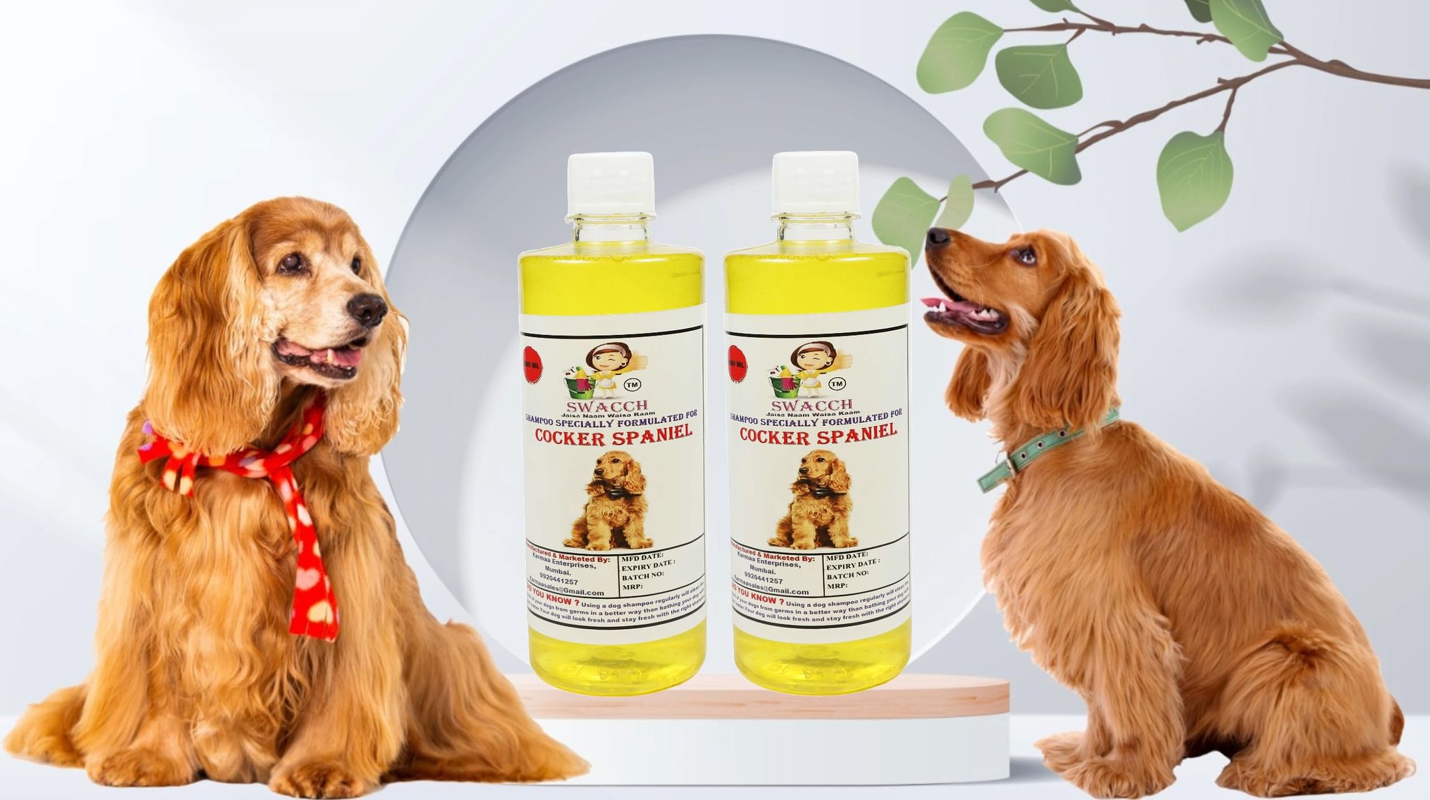 SWACCH Shampoo Specially FORMULATED for Cocker Spaniel (500ML) (Pack of 2) Lemon