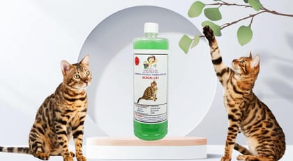 SWACCH Shampoo Specially FORMULATED for Bengal Cat (1 Litre) NEEM ALOVERA SWACCH Shampoo Specially FORMULATED for Bengal Cat (1 Litre) NEEM ALOVERA