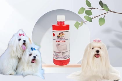 Swacch Shampoo Specially Formulated for Maltese (500ML) Strawberry