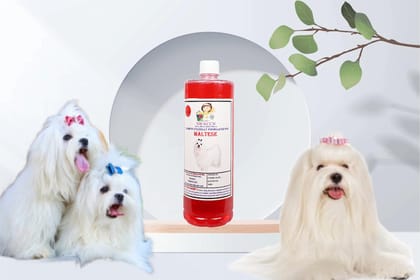 Shampoo Specially Formulated for Jasmine (Maltese 1 Litre)