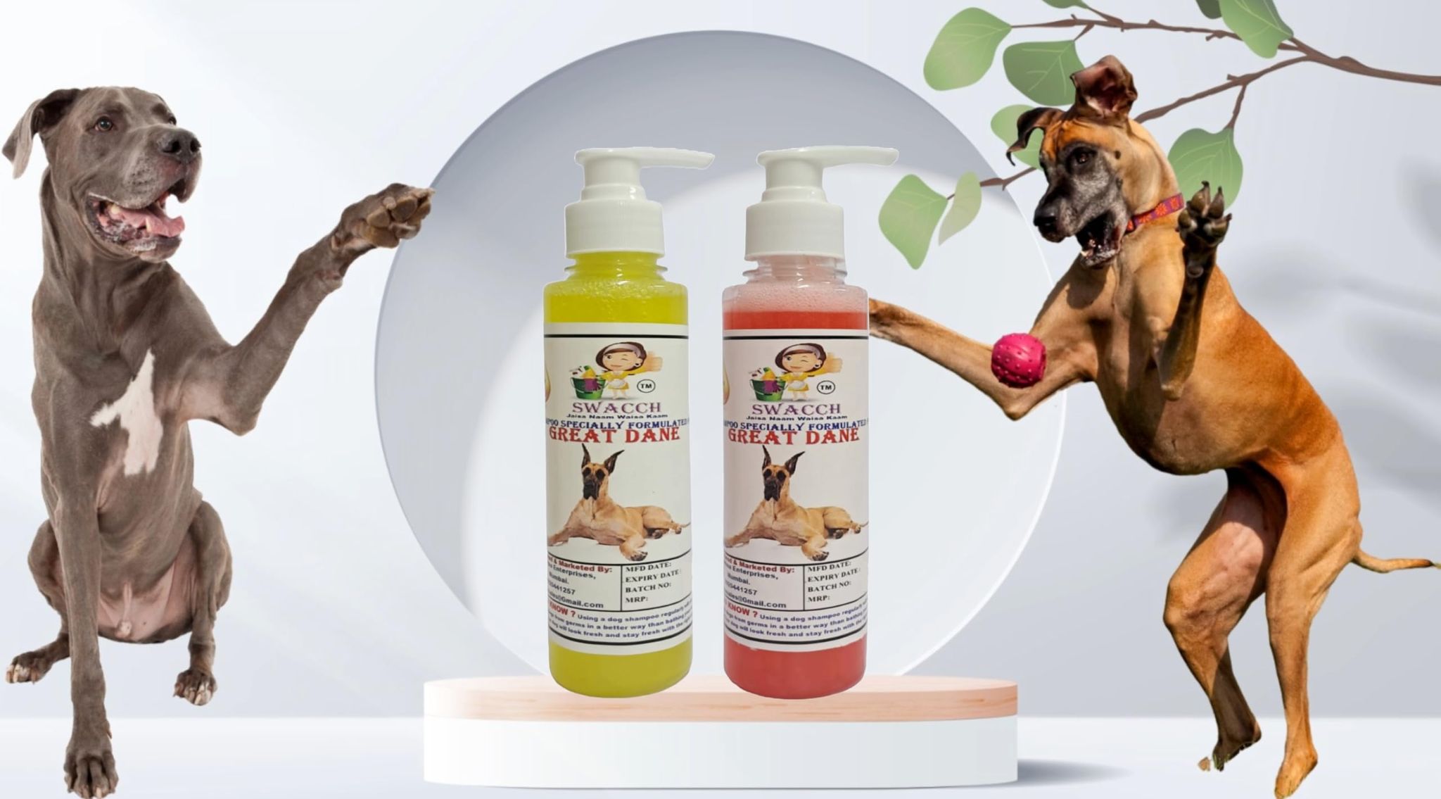 SWACCH Premium Shampoo for Great DANE (200ML)(Combo Pack of 2) Lemon & Jasmine