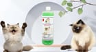 ... ...