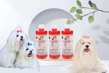 Swacch Shampoo Specially Formulated for Maltese (500ML) (Combo Pack of 3) Jasmine
