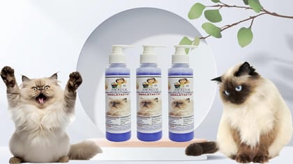 SWACCH Premium Shampoo for Himalayan CAT (200ML) (Pack of 3) Lavender