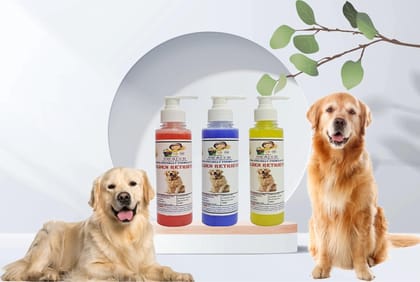 SWACCH Premium Shampoo for Golden Retriever (200ML)(Combo Pack of 3) Strawberry, Lavender & Lemon SWACCH Premium Shampoo for Golden Retriever (200ML)(Combo Pack of 3) Strawberry, Lavender & Lemon