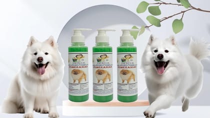 SWACCH Premium Shampoo for Pomeranian (200ML) (Pack of 3) NEEM ALOVERA SWACCH Premium Shampoo for Pomeranian (200ML) (Pack of 3) NEEM ALOVERA