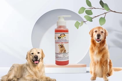 SWACCH Premium Shampoo for Golden Retriever (200ML) Strawberry SWACCH Premium Shampoo for Golden Retriever (200ML) Strawberry