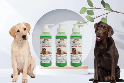SWACCH Premium Shampoo for Labrador (200ML) (Pack of 3) NEEM ALOVERA SWACCH Premium Shampoo for Labrador (200ML) (Pack of 3) NEEM ALOVERA
