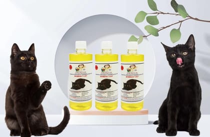 SWACCH Shampoo Specially FORMULATED for Bombay CAT (500ML) (Pack of 3) Lemon
