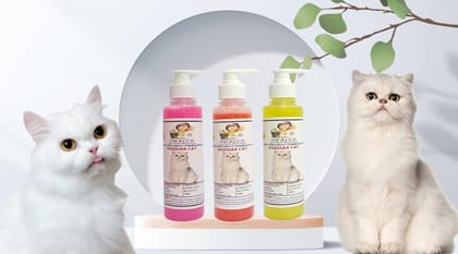 SWACCH Premium Shampoo for Persian CAT (200ML) (Combo Pack of 3) Rose, Jasmine & Lemon