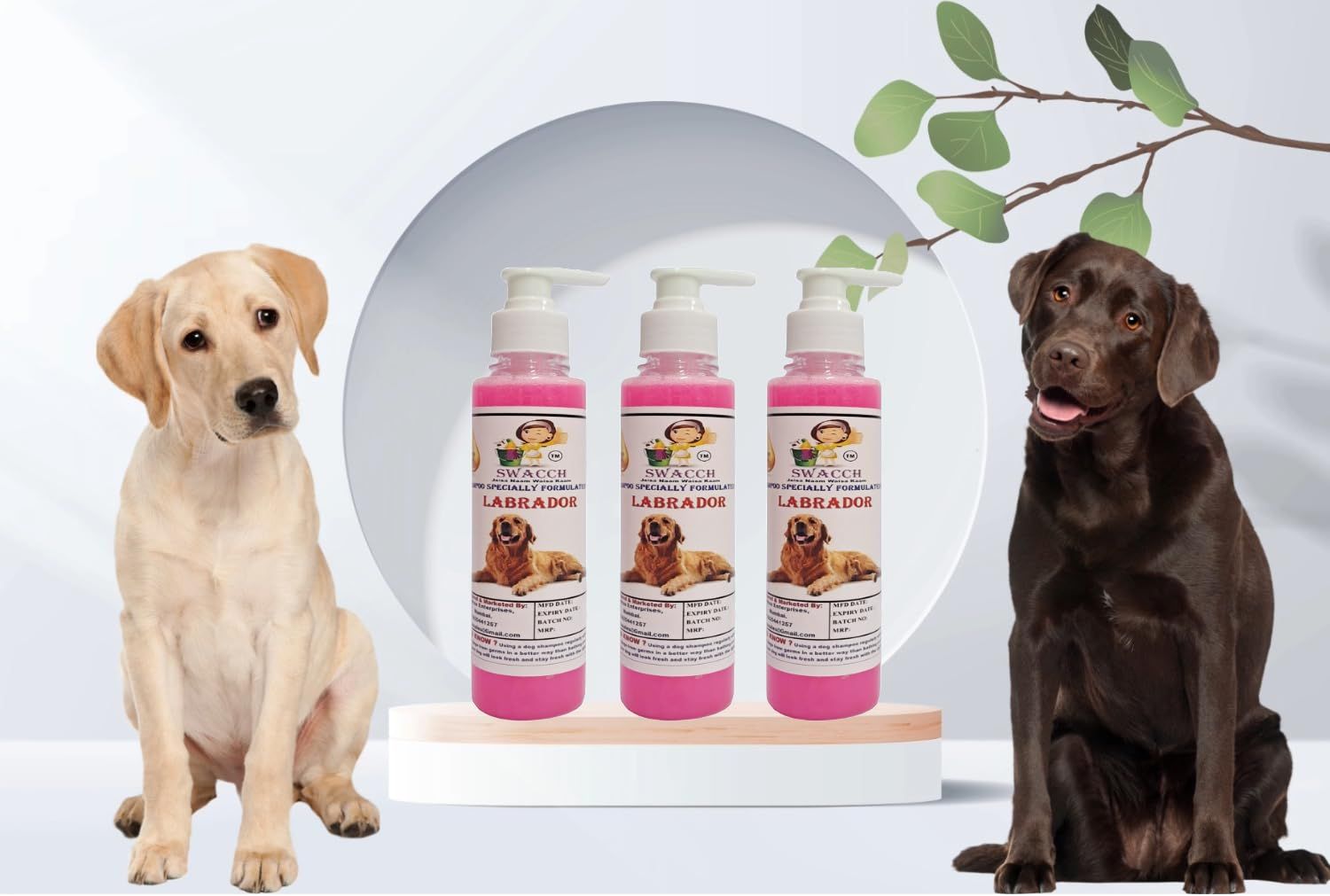 SWACCH Premium Shampoo for Labrador (200ML) (Pack of 3) Rose