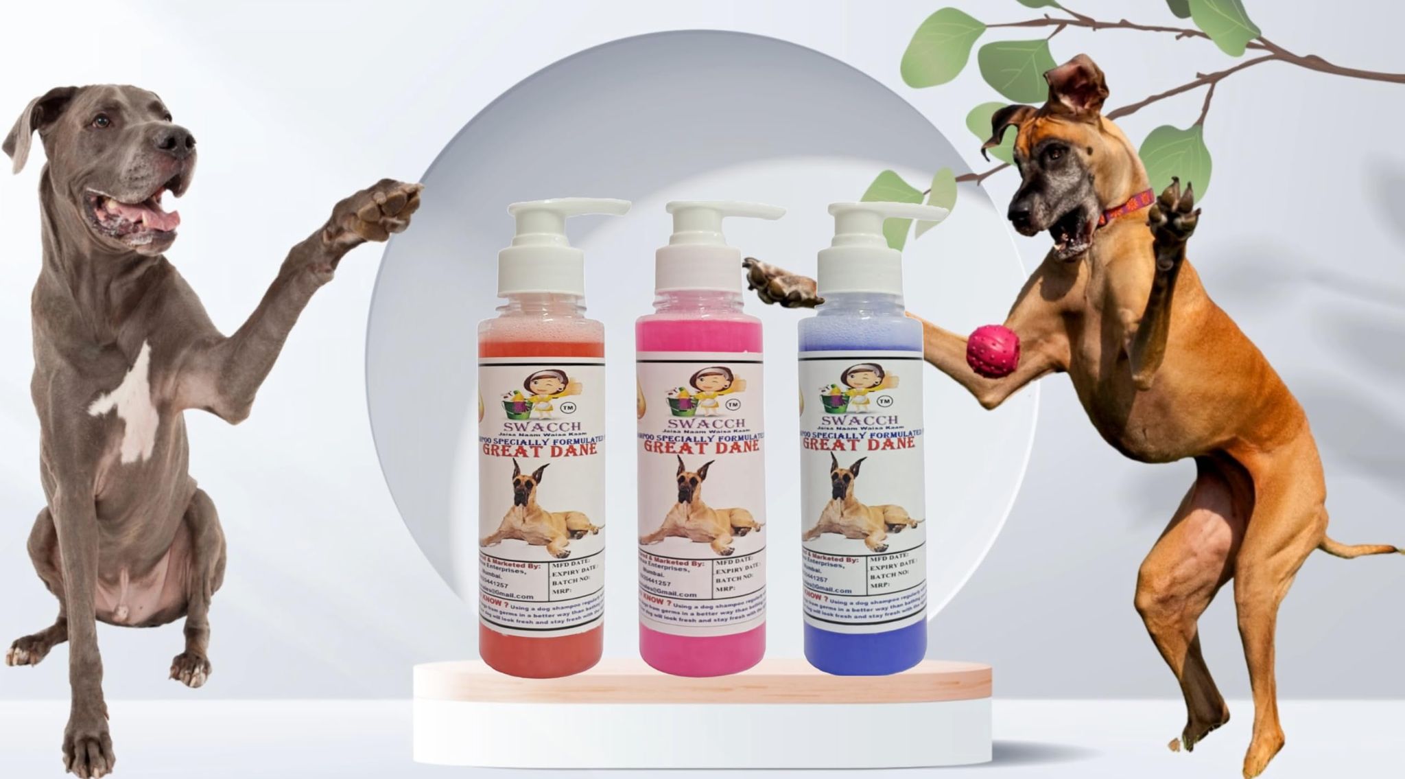 SWACCH Premium Shampoo for Great DANE (200ML) (Combo Pack of 3) Jasmine, Rose & Lavender